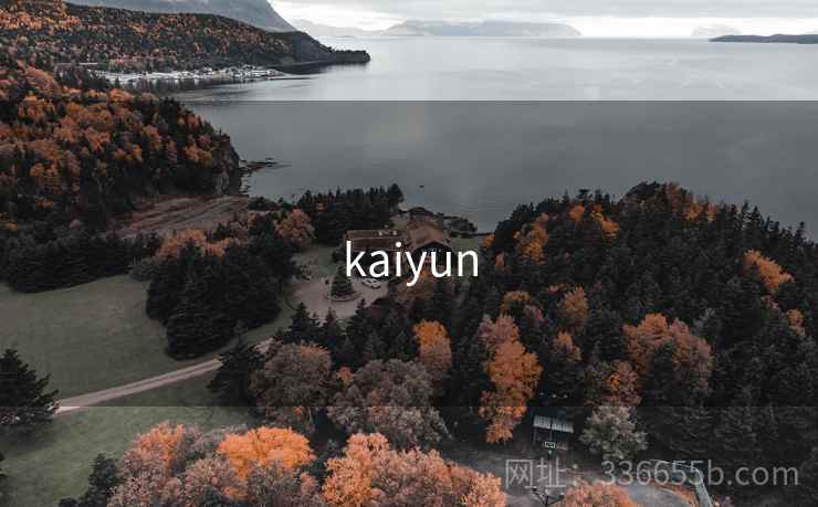 kaiyun 第2张