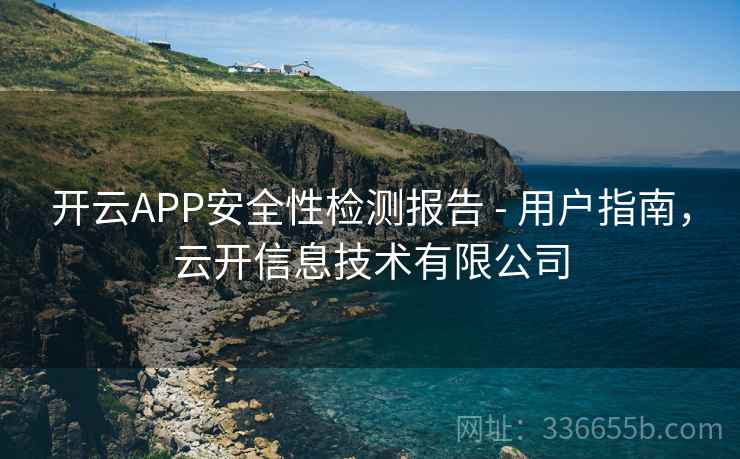 开云APP安全性检测报告 - 用户指南,云开信息技术有限公司