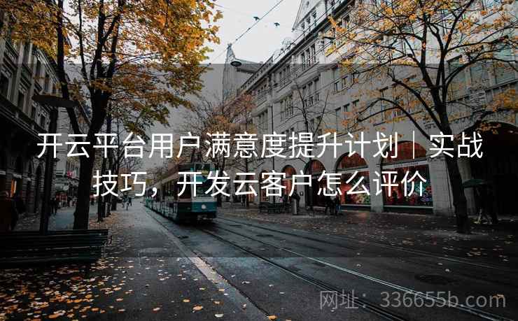 开云平台用户满意度提升计划｜实战技巧，开发云客户怎么评价